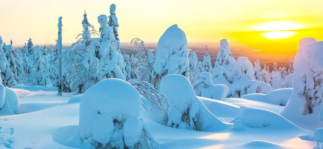 Régimen económico matrimonial de Finlandia