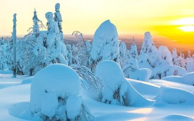 Régimen económico matrimonial de Finlandia